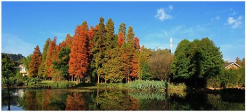 QQ截圖20200119163901 QQ截圖20200119163901